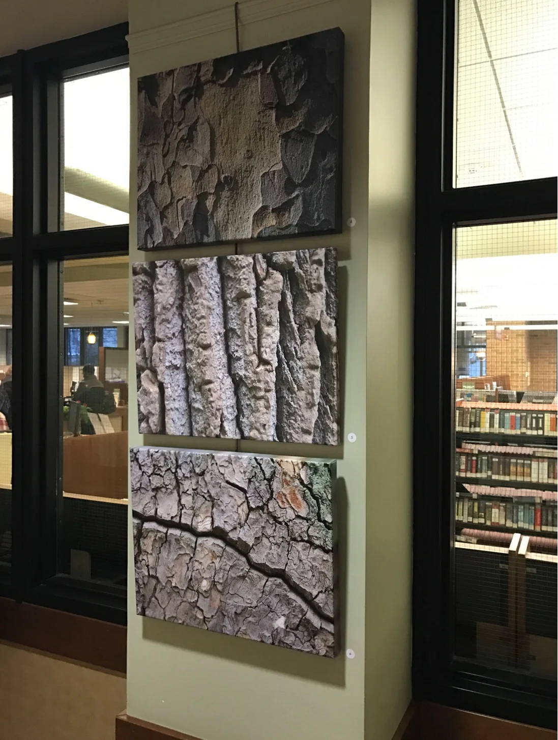 A snapshot of one of the panels in the Saratoga Springs (NY) Library.