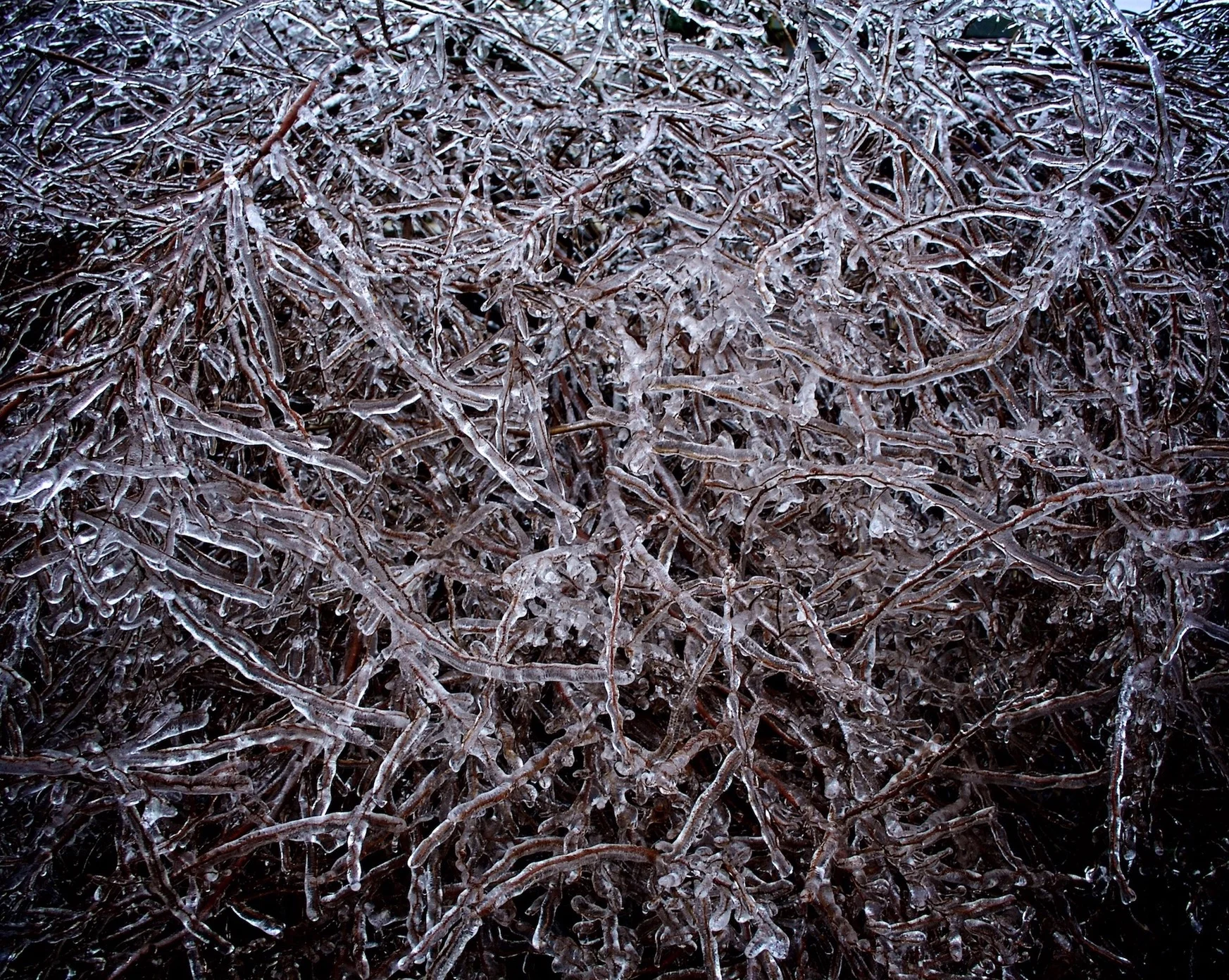 ©2010 Sean Walmsley #62