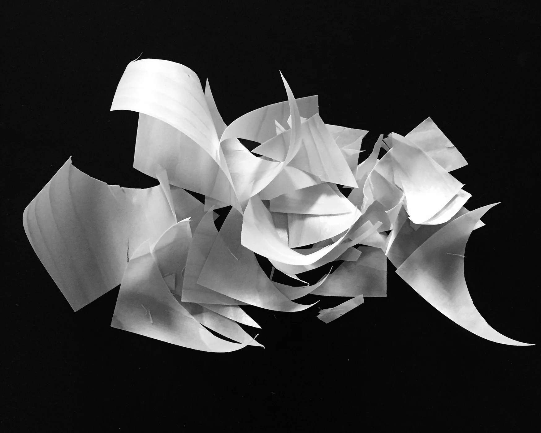 ©2014 Sean Walmsley #141