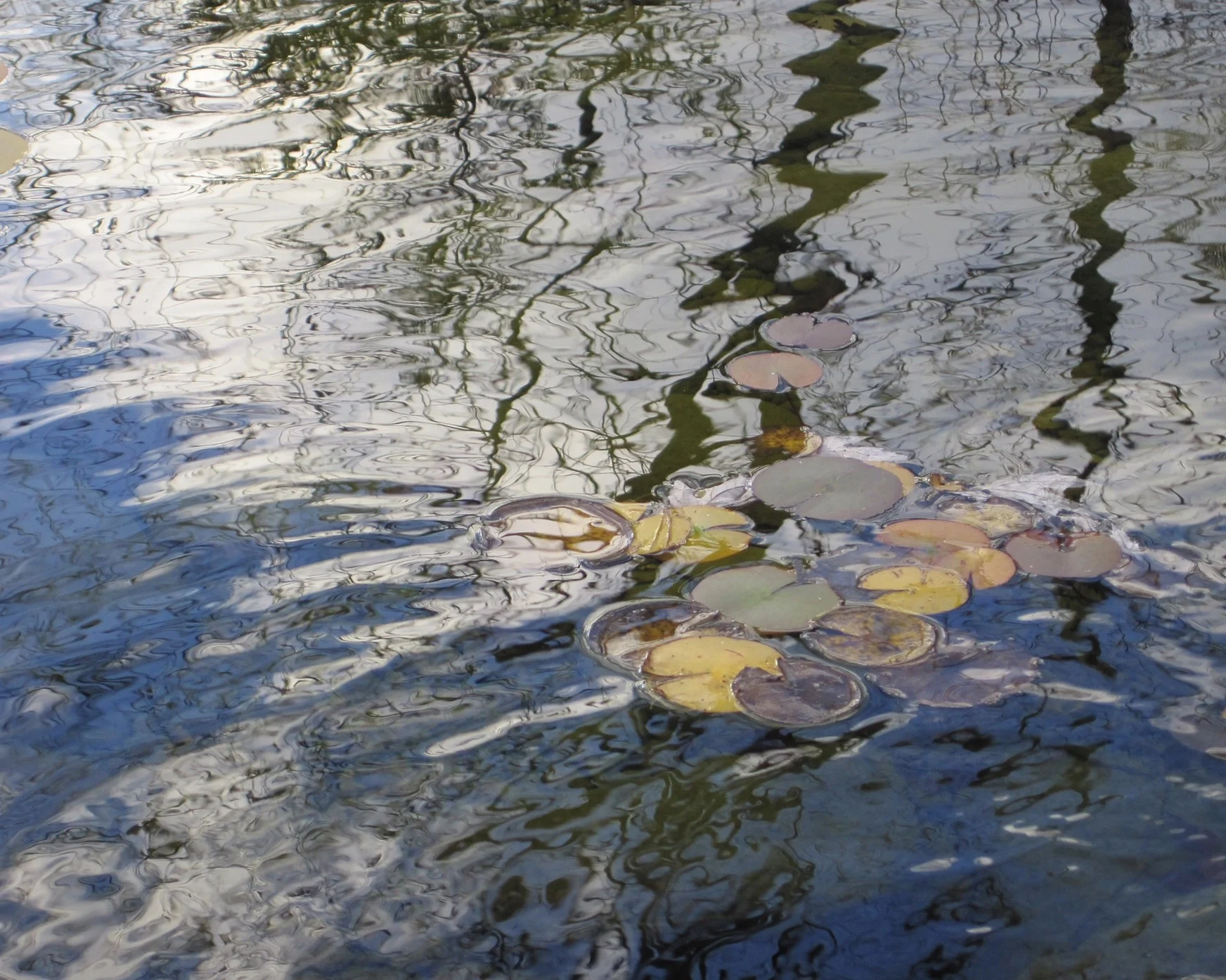 ©2015 Sean Walmsley #83