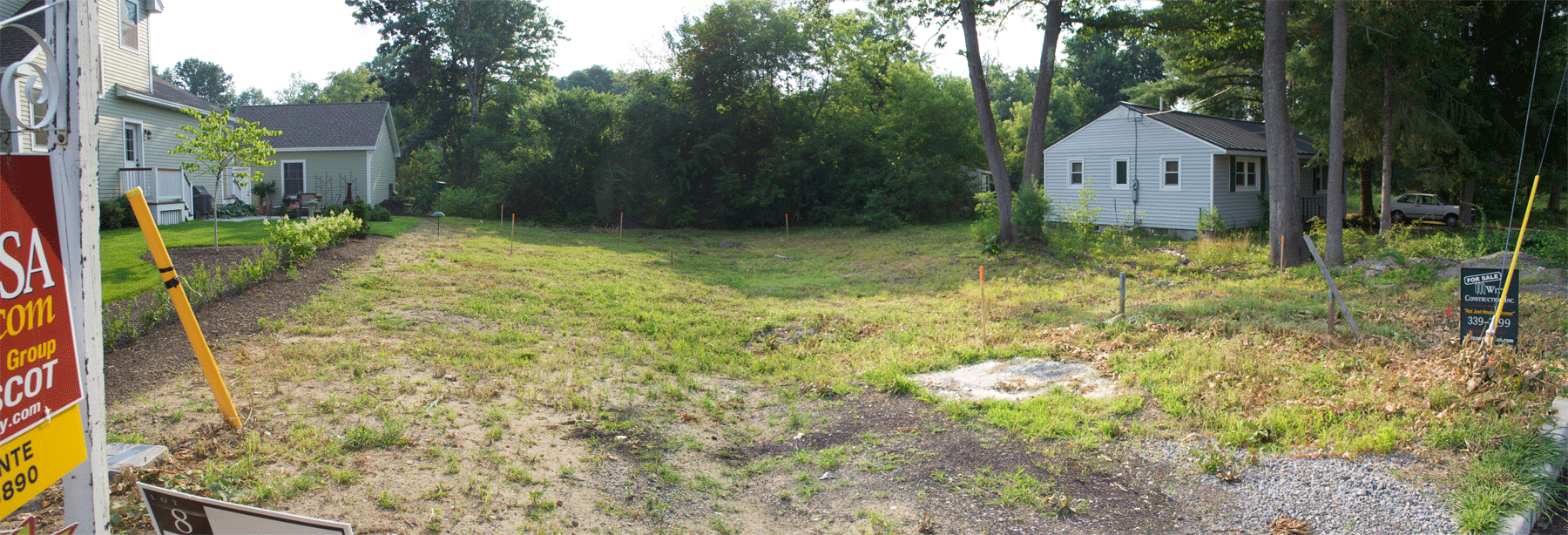 Photo of the lot just after I bought it. You can see the sumacs at the back.