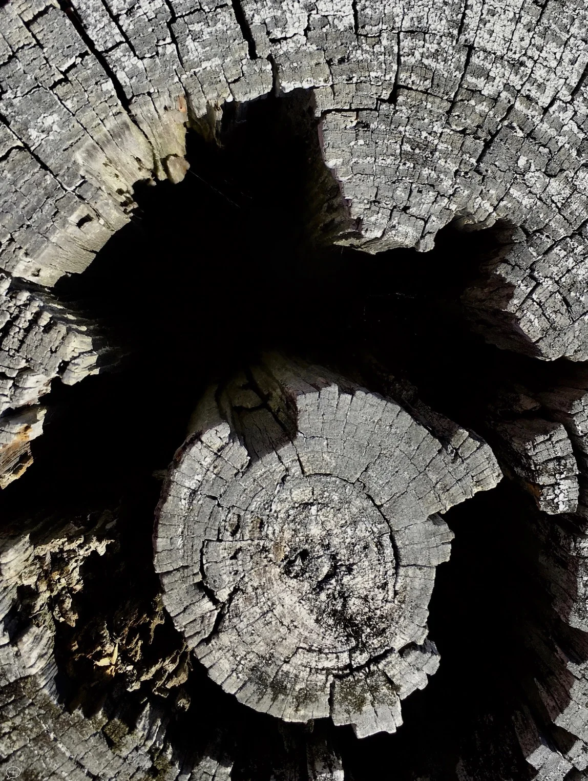 21. Looking into the Abyss , iPhone 6S, 2016. Saratoga Battlefield, NY. (Canvas Photo, 40” x 30,”). When I tell people this photo is only looking down into a stump at the Saratoga Battlefield, they often don’t believe me. But that’s what it is. Of course, what it looks like to a viewer is quite another thing! What does it remind you of? ©2016 Sean Walmsley