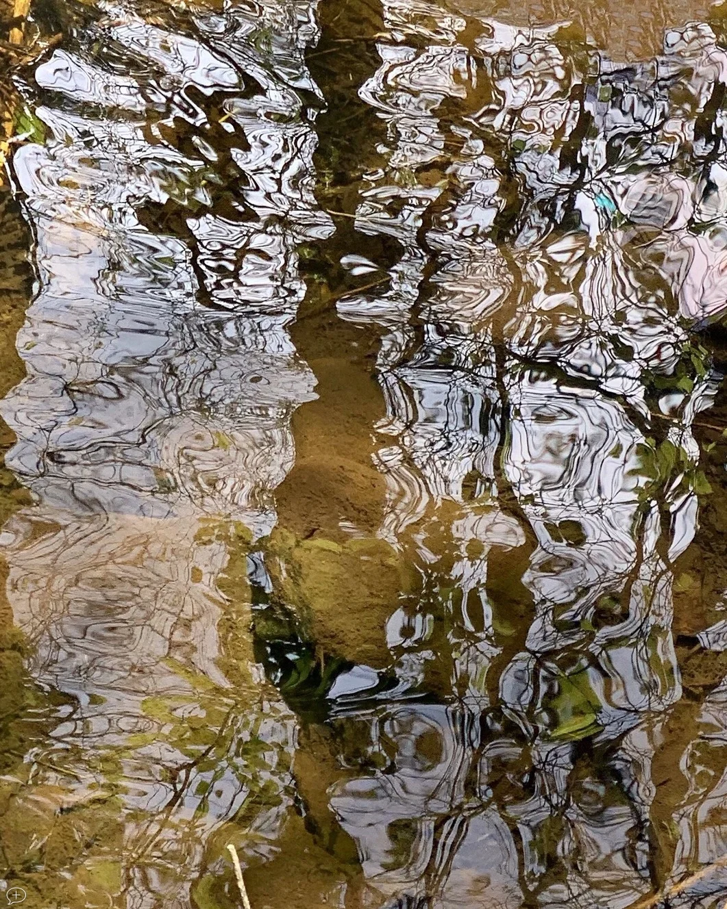 Screen Shot 2019-07-26 at 8.44.01 AM.jpg