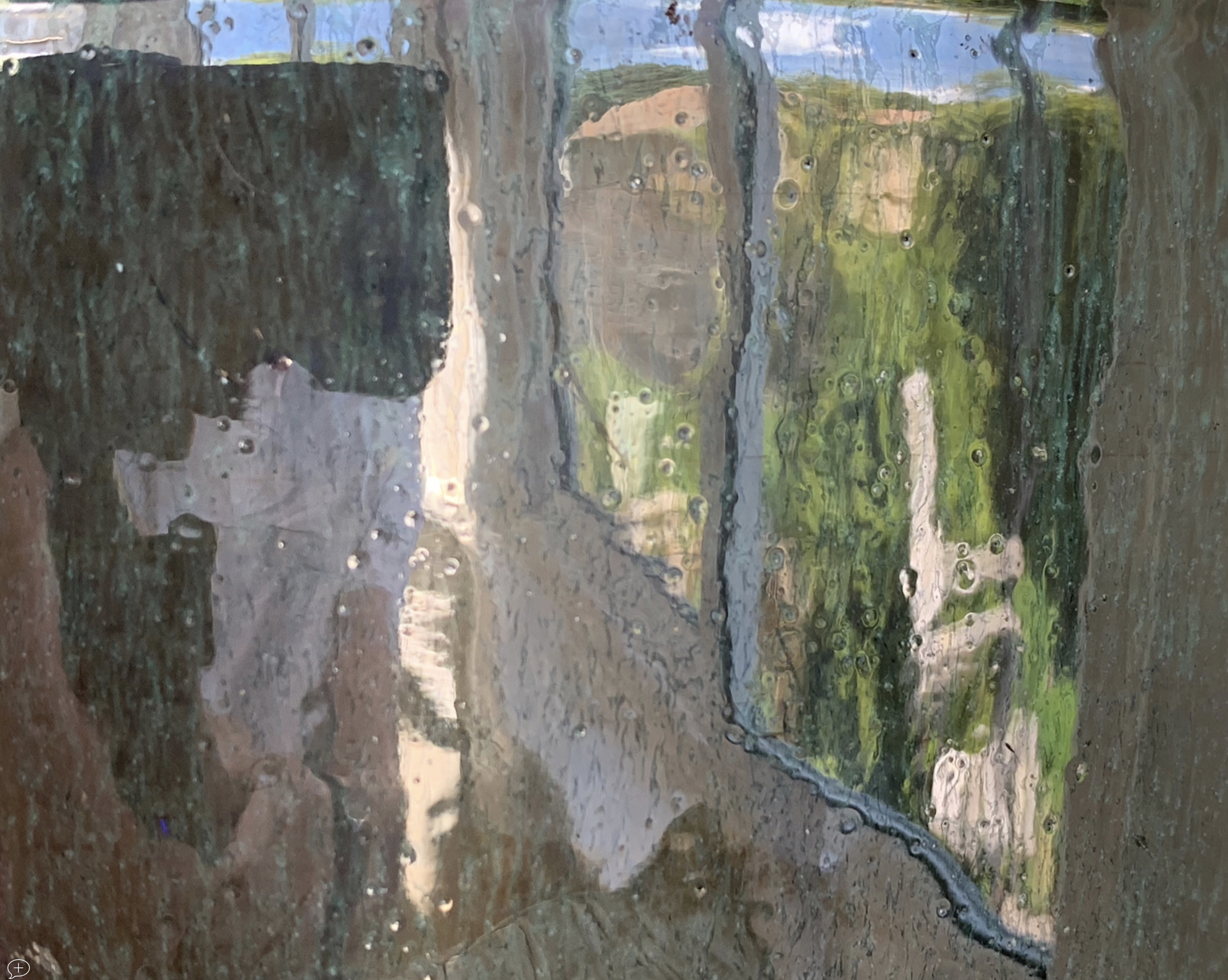 Garden Reflected from a Vase (iPhone XS, Saratoga Springs, NY). ©2019 Sean Walmsley