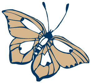 Freudenthal-Home-Health-Butterfly.png