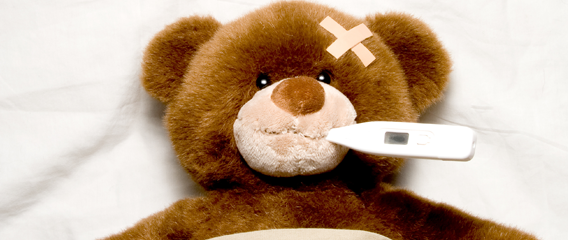 Teddybear.png