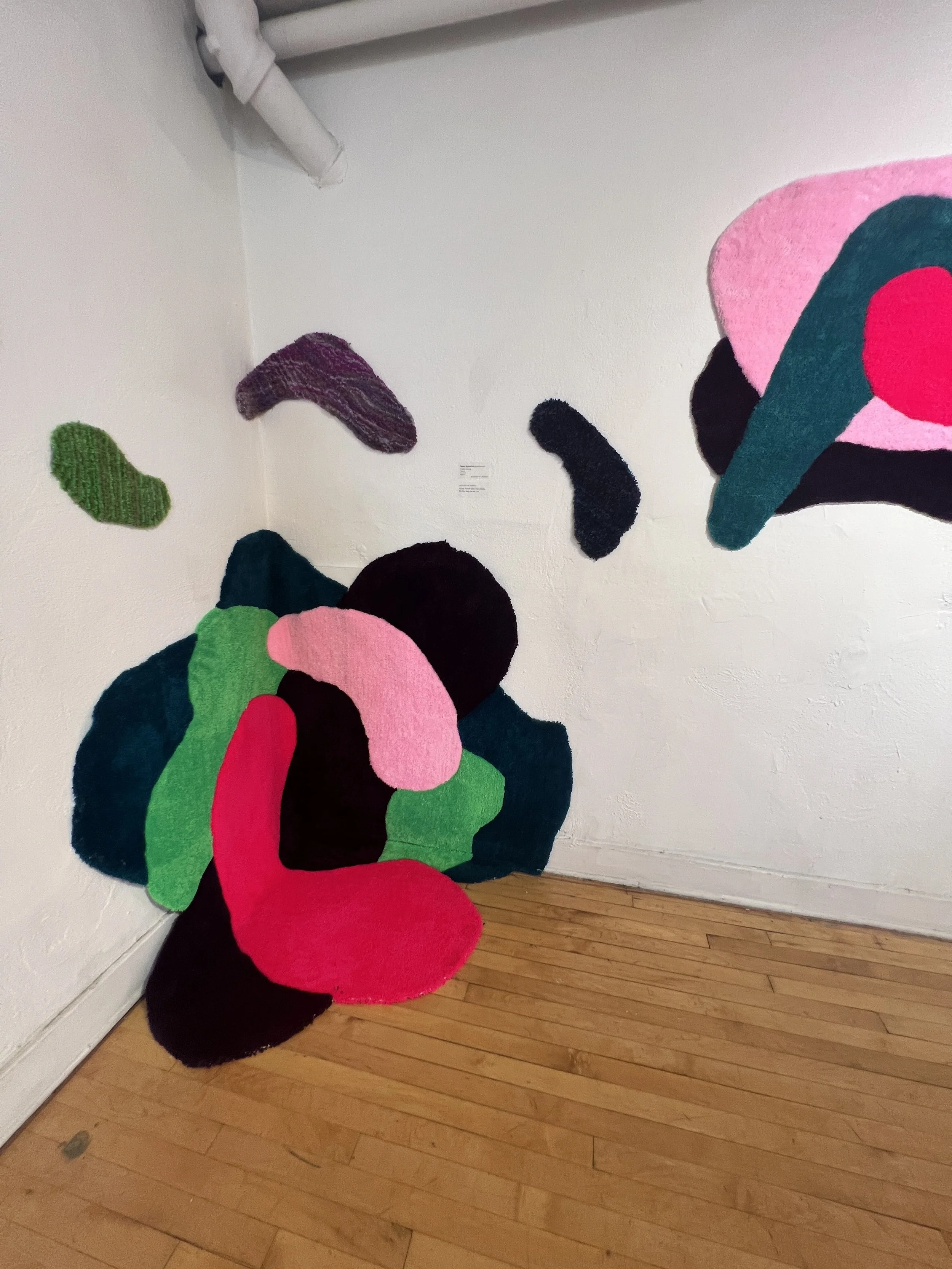 Comfort and Cozy with Boomerang.JPG