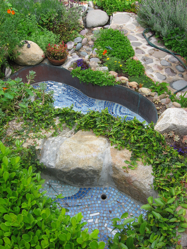 garden pool.jpg