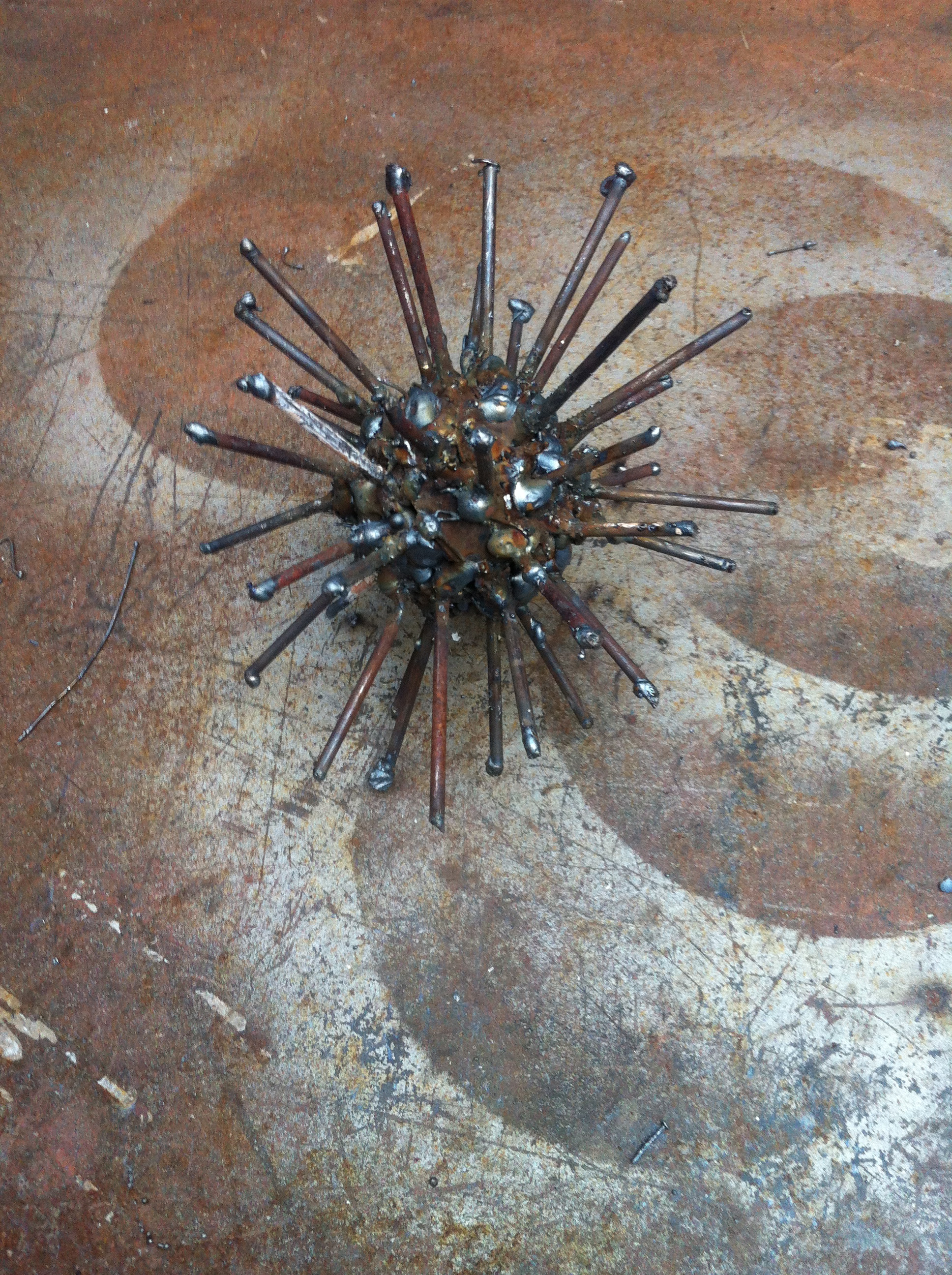 fire urchin 1.jpg