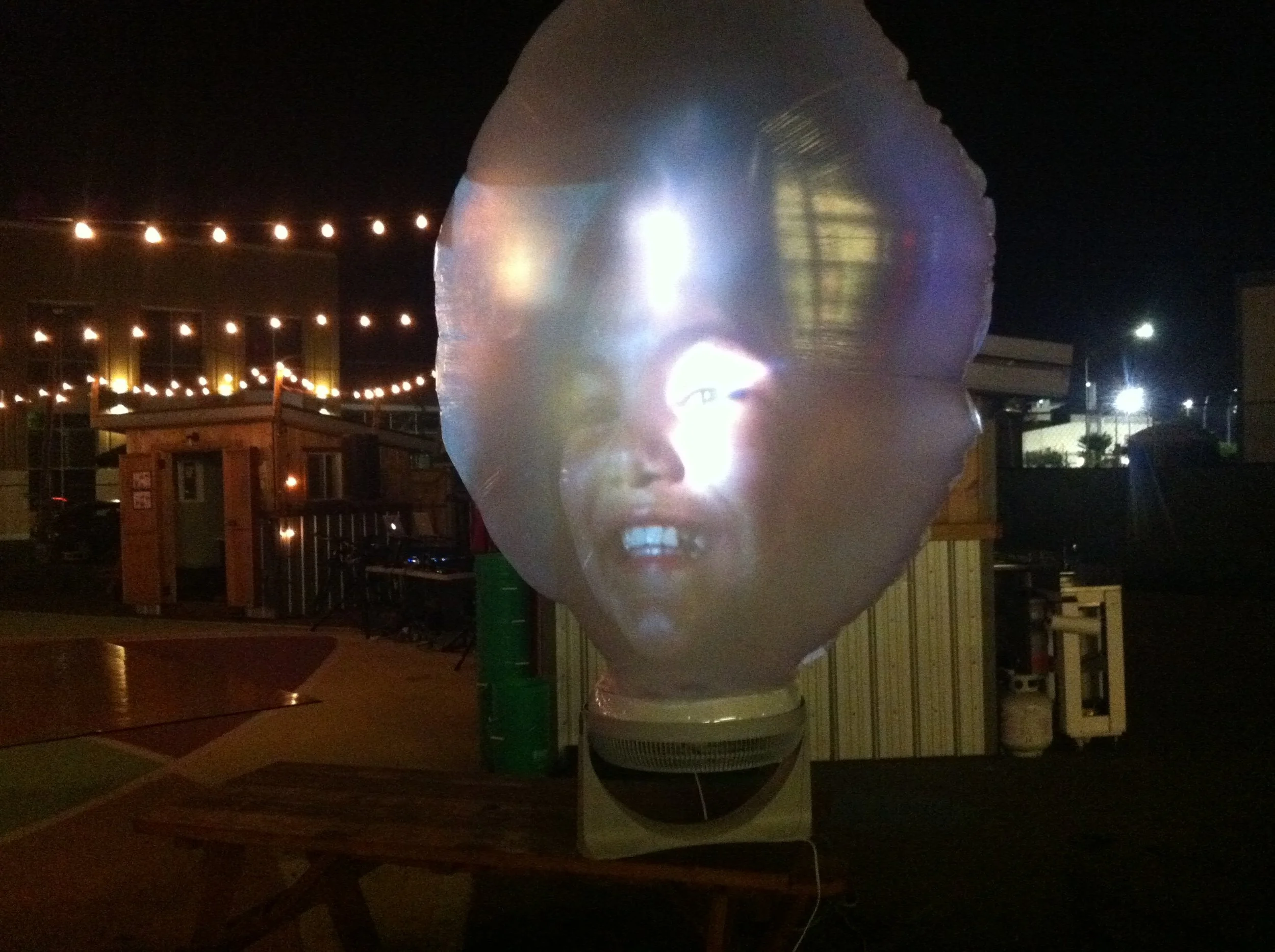  Video Installation in San Diego, made with support from the Media Arts Center San Diego, CA 