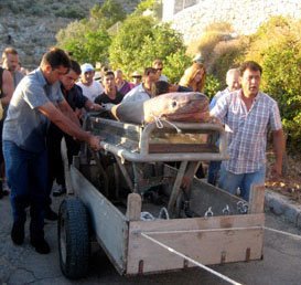Matthew Barney and Elizabeth Peyton's Blood For Two , Deste Foundation (2009) In celebration of his Deste Foundation , Greek tycoon Dakis Joannou shipped hundreds of who's who to the isle of Hydra, where everyone had to wake up at dawn to watch a bunch of local fishermen dredge up a 750-pound glass-and-bronze coffin holding a Peyton-rendered portrait of Matthew Barney with a dead dogfish shark on top and haul it up the Aegean cliffs with aid of a donkey cart. The procession wound up at an old slaughterhouse, where the coffin was cranked open, seawater rushed down the butcher's blood drains, and the portrait was revealed to be intact, at which point Peyton cryptically whispered to Barney, "They're still there...the cat looks good." I have no idea what any of this signified, but afterwards 300 people sat at a really long table and ate the sacrificial shark, which reportedly tasted like chicken. 