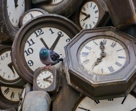 Transient