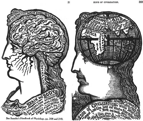 Herman Melville, Andrew W.K., and Bodega Coffee