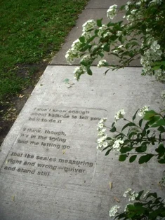 We Must Walk Slow: Andrei Codrescu and the Rapture of Public Poetry