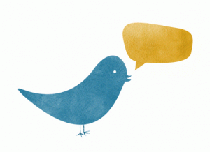Twit Wit: Dan Guterman on Betting on the Wrong Horse