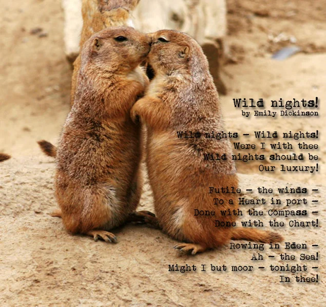 poem3.jpg
