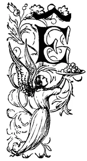 Crop E with a hat on top.001_2.jpg