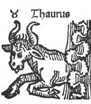 taurus.jpg