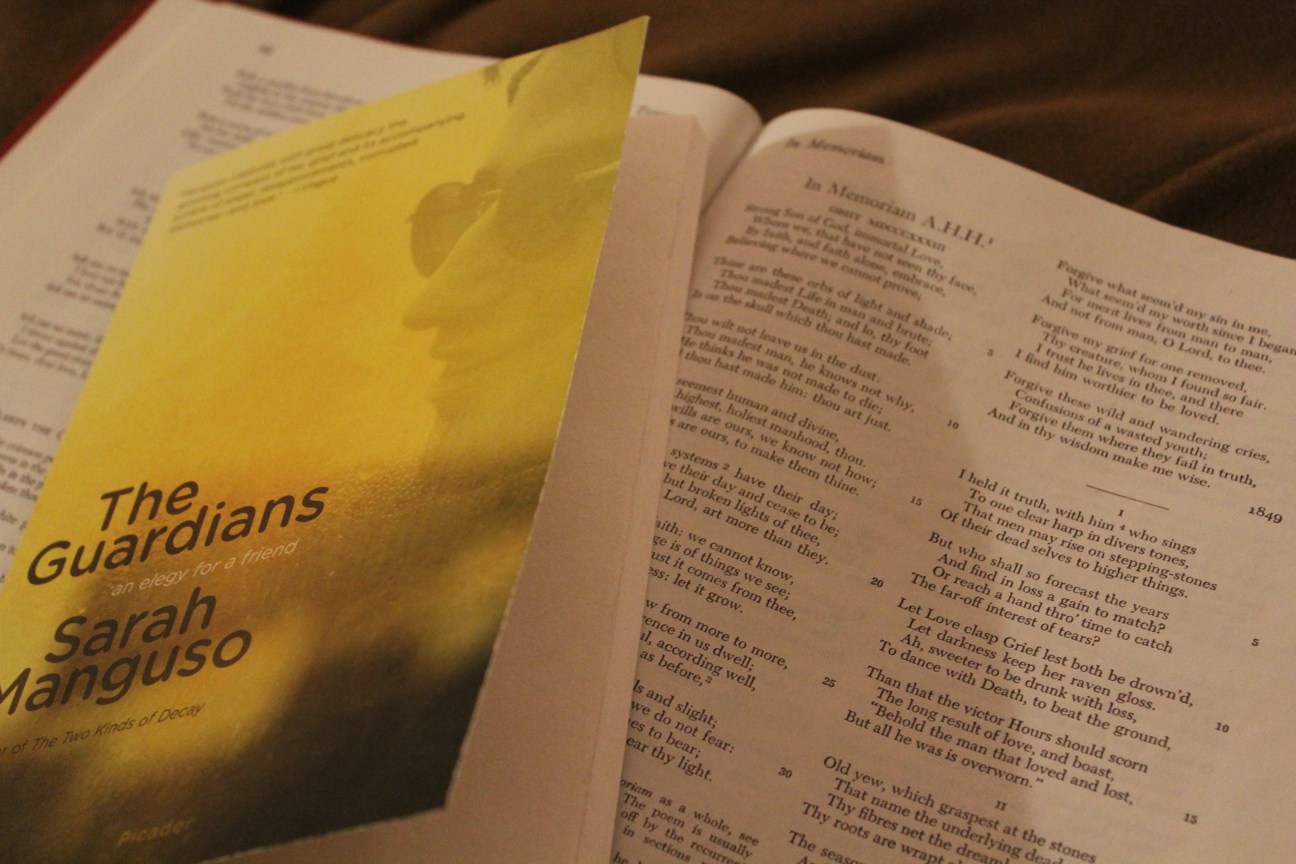 On Mourning a Friend: Sarah Manguso’s "The Guardians"