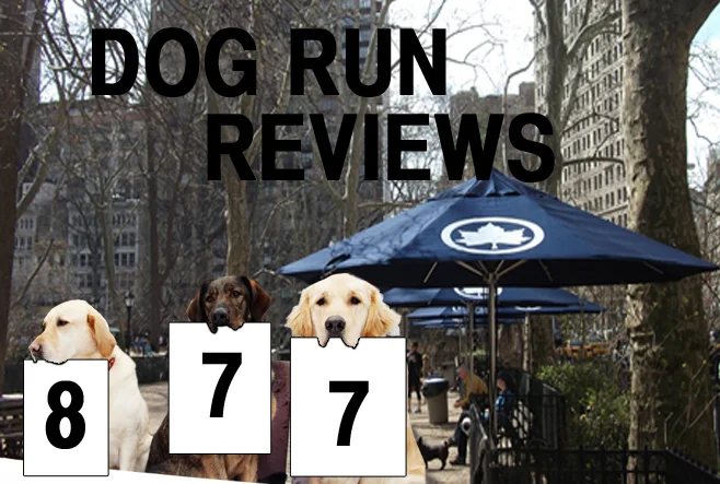 dogrunreviews.jpg