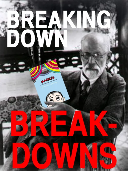 Breaking Down Breakdowns: Ellen Forney's "Marbles"