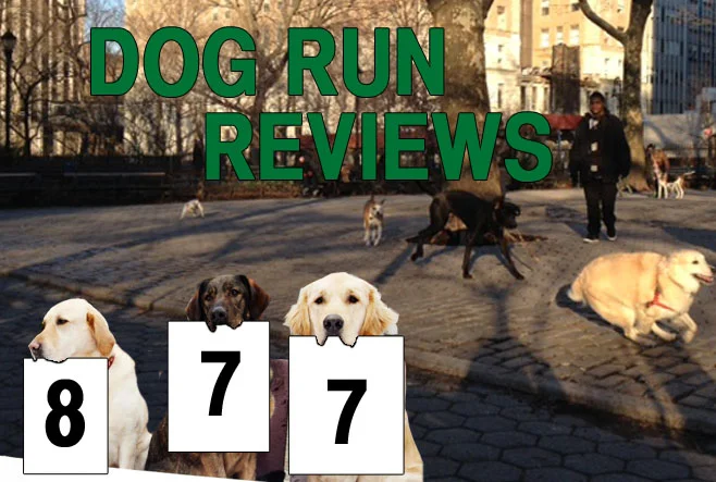 dogrunreviewssty.jpg