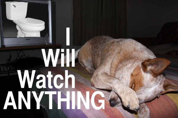 Bad first impressions have kept me away from a few of the best shows. Please don't judge me hastily, as I did them. 