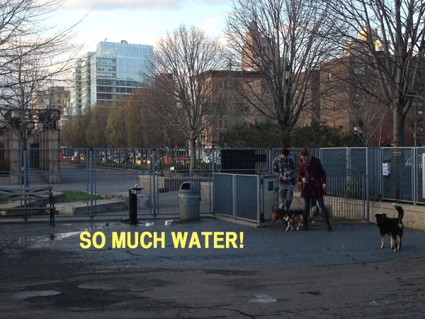 WATER1.jpg