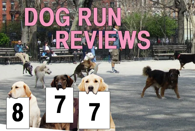 The city's dog runs, reviewed, one gravel pile at a time. This week: Tompkins Square Park.