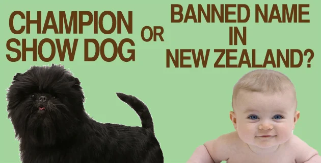 Prized pup or questionable Kiwi handle? Choose wisely. 