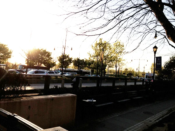 So! Many! Cars!