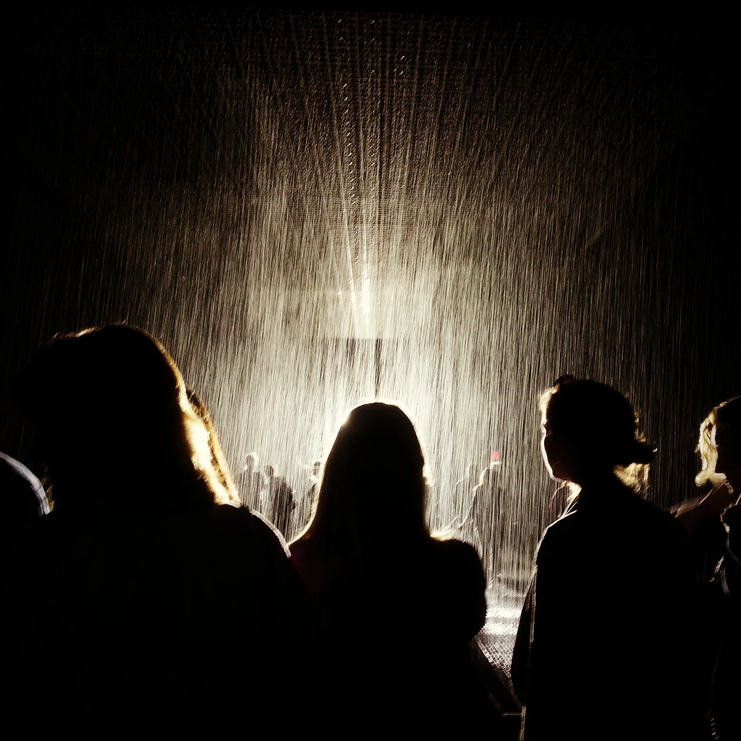 Eavesdroplets: Overheard In Line For the Rain Room