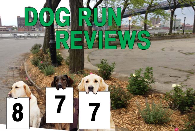 Dog Run Reviews, Part 8