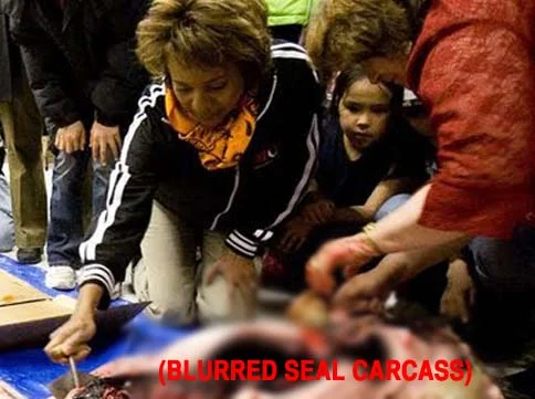 Governor General Michaelle Jean ate a seal heart to be respectful of an Inuit tradition, but it's an unofficial universal tradition not to eat a freshly-killed endangered animal in front of cameras. 