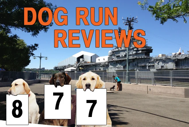 The city's dog runs, reviewed, one gravel pile at a time. This week: Hudson River Park at Pier 84.