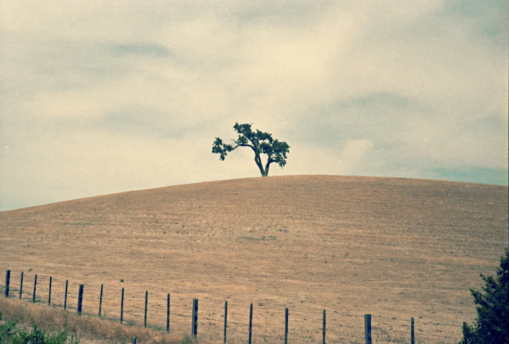 06 1970 Trip-Calif.jpg