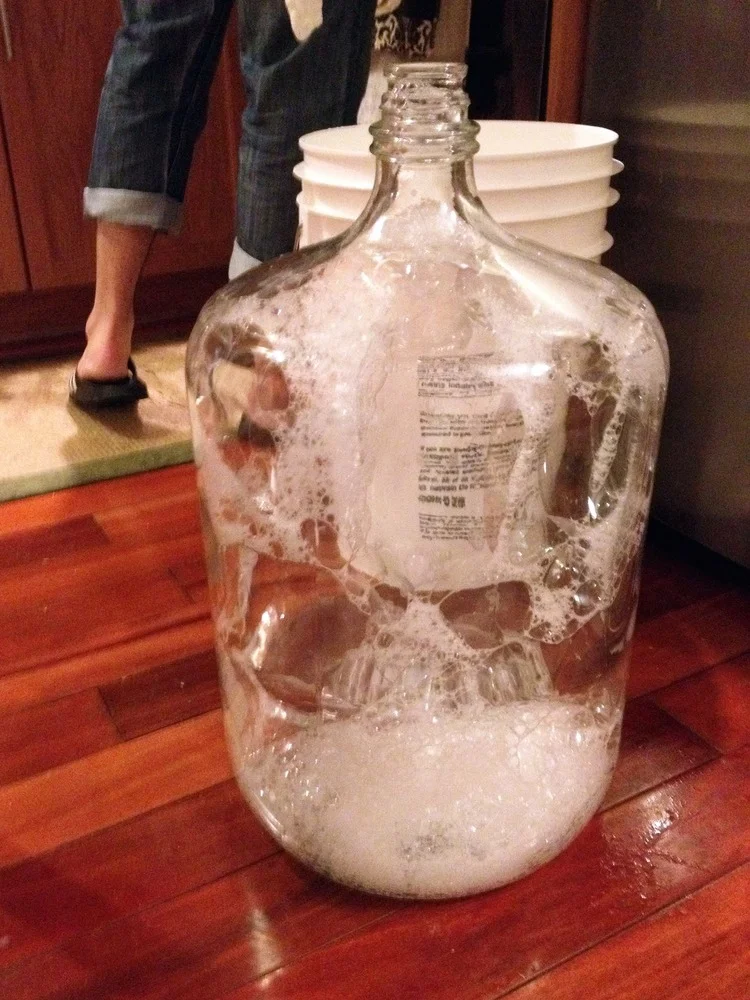 How to Brew Your Own Beer Sanitation.jpg