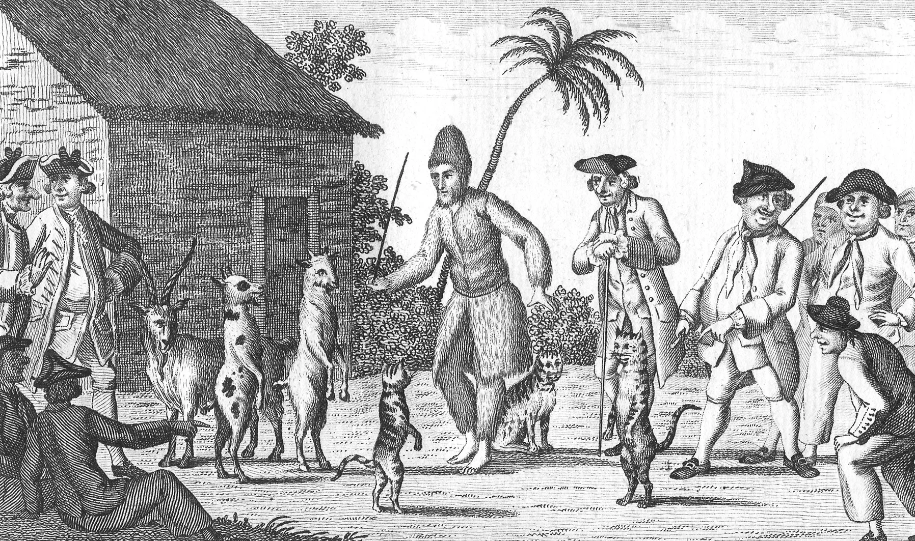 Robinson Crusoe.jpg