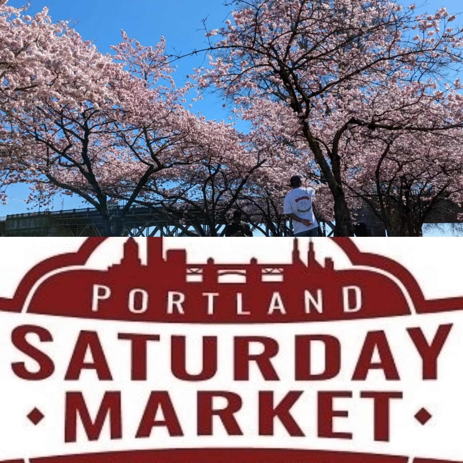 Portland Saturday Market is back and so are the cherry blossoms!