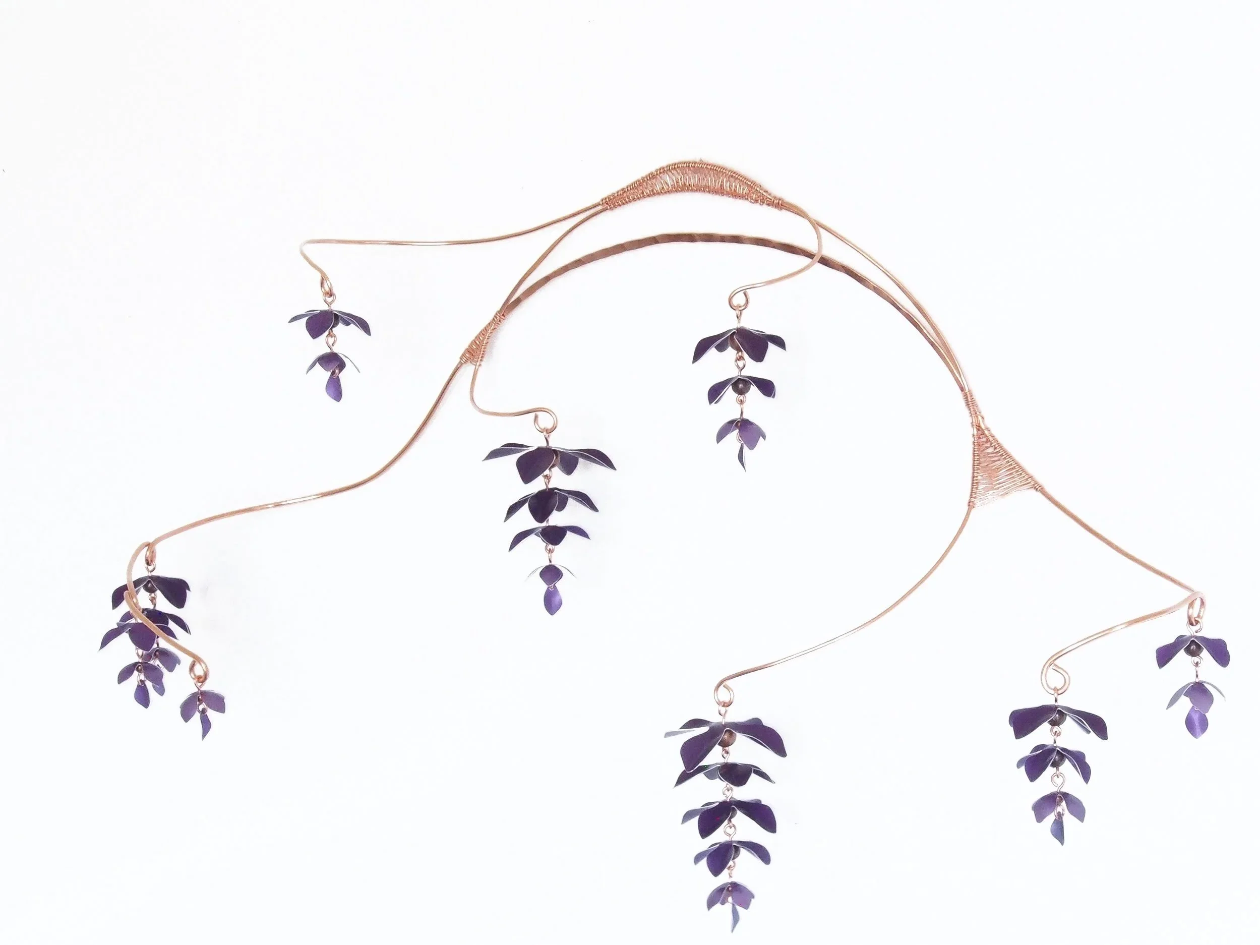 wisteria-med-angle.jpg