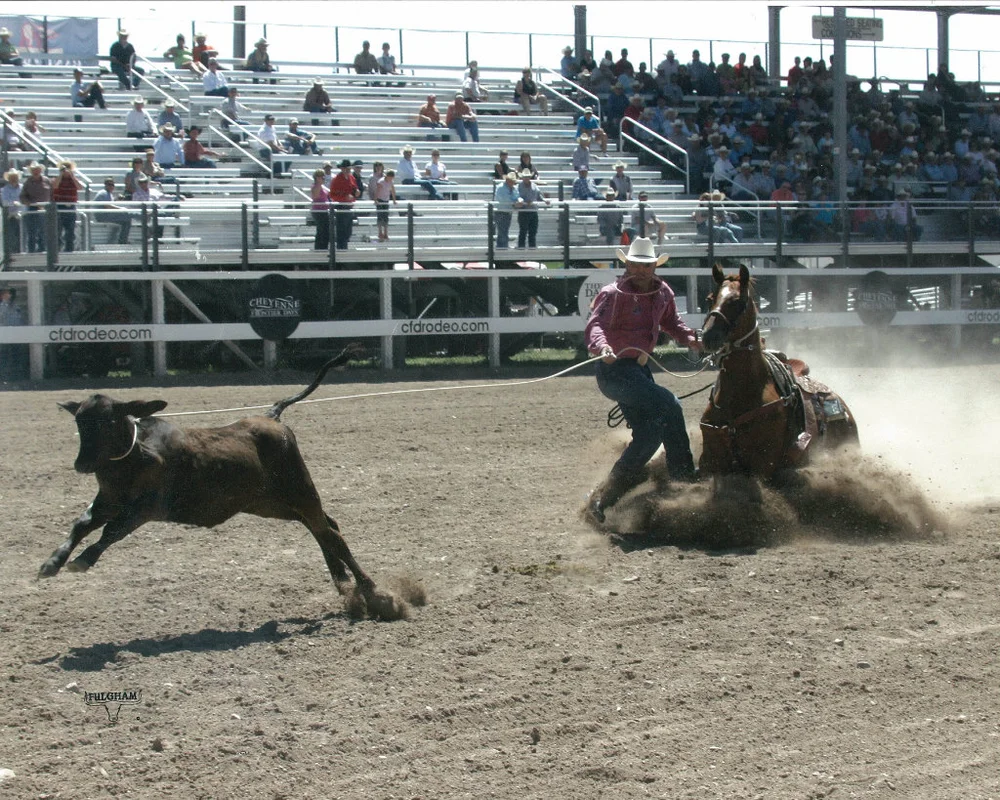 09 Aqha Prca Tie Down Roping Horse Of The Year Sid Miller Horses