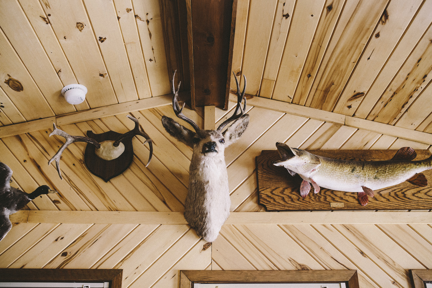 brandon_werth_cabin_engagement_session_05.JPG