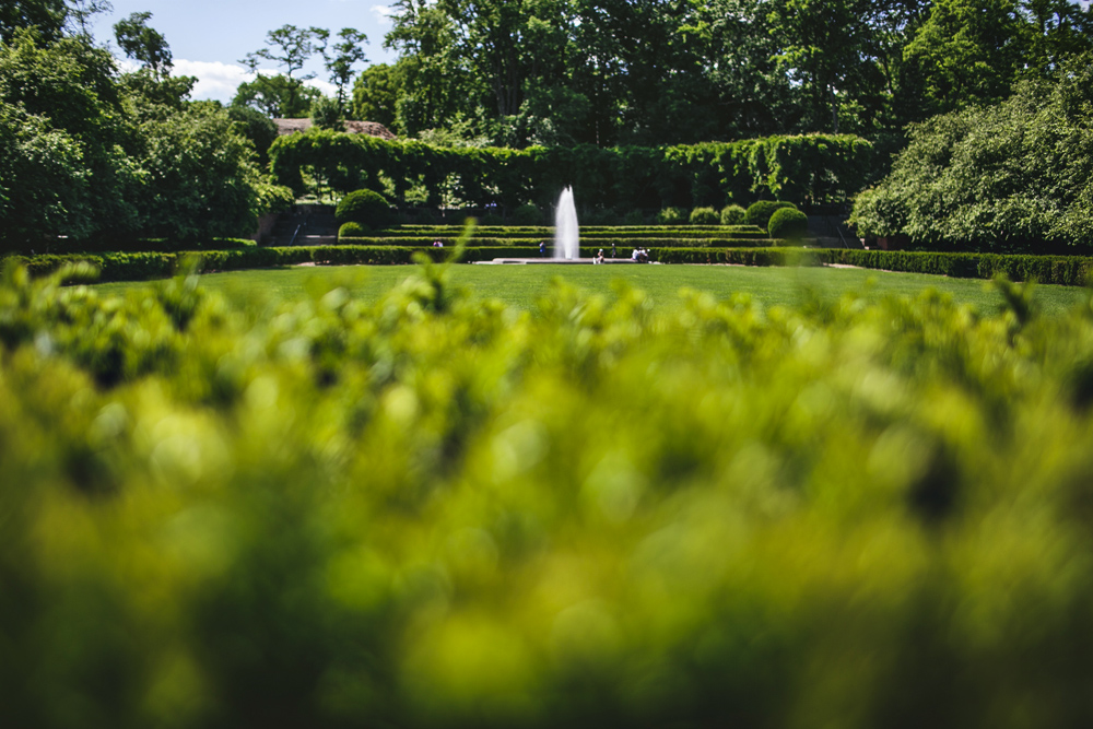Brandon_Werth_Central_Park_Wedding_NYC_Photographer_38.jpg