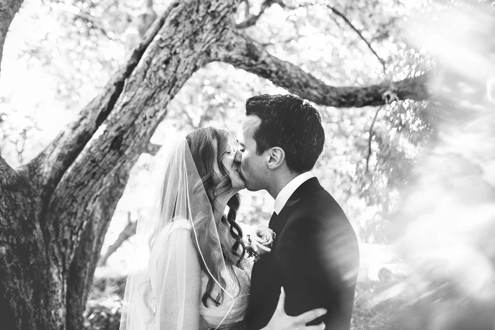 Brandon_Werth_Central_Park_Wedding_NYC_Photographer_53.jpg