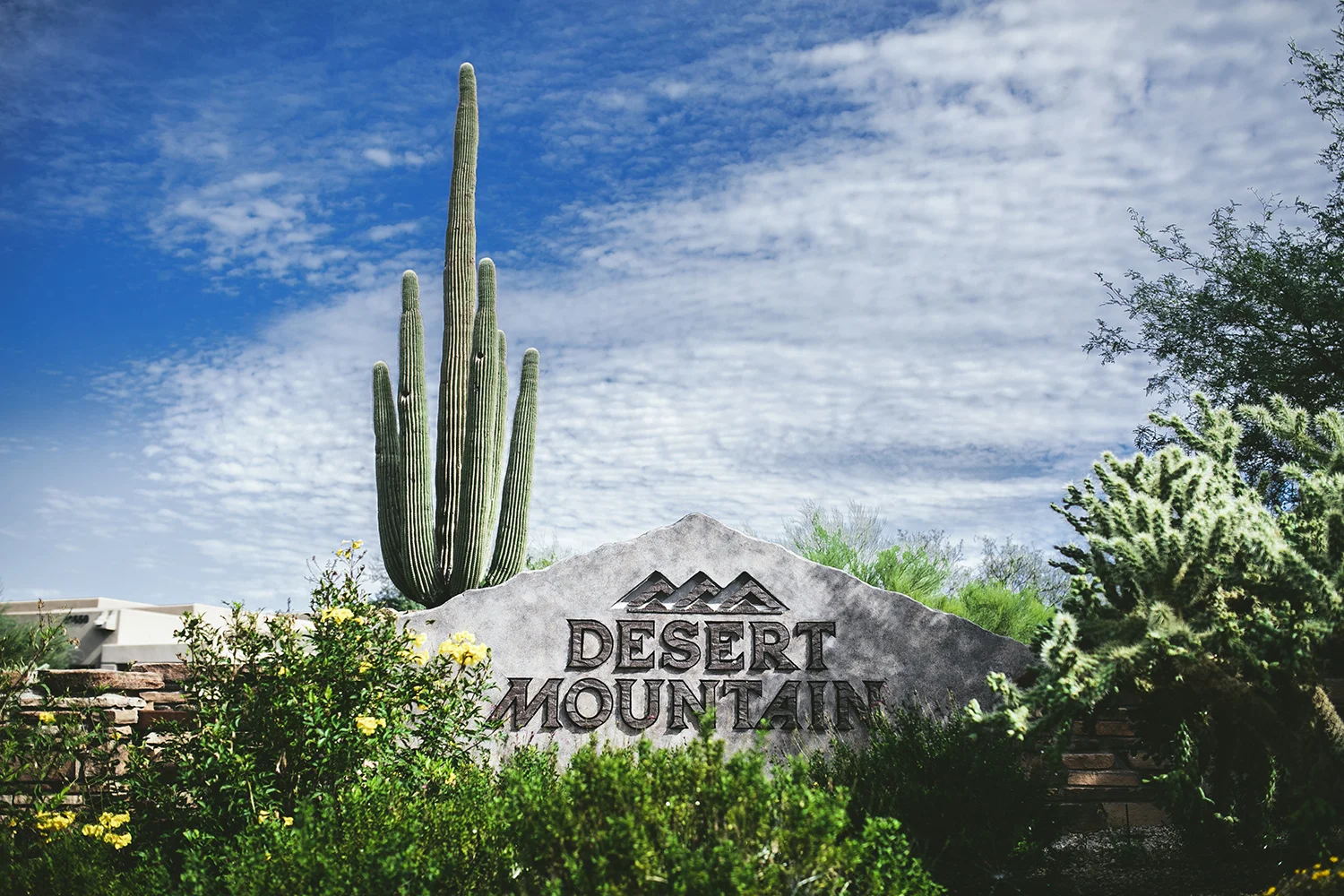 Brandon_Werth_Desert_Mountain_Arizona_Wedding_Photographer_02.jpg