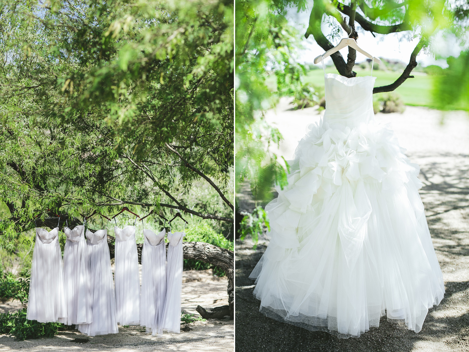 Brandon_Werth_Desert_Mountain_Arizona_Wedding_Photographer_07.jpg