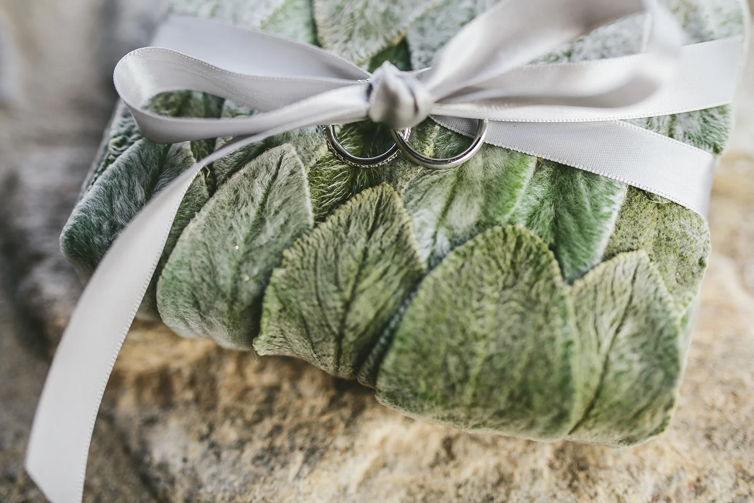 Brandon_Werth_Desert_Mountain_Arizona_Wedding_Photographer_43.jpg