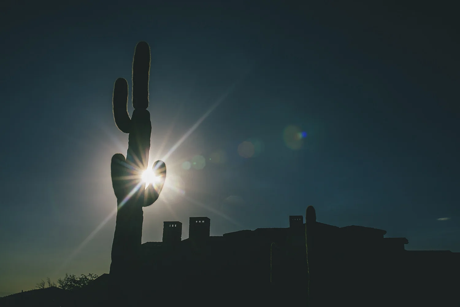 Brandon_Werth_Desert_Mountain_Arizona_Wedding_Photographer_58.jpg
