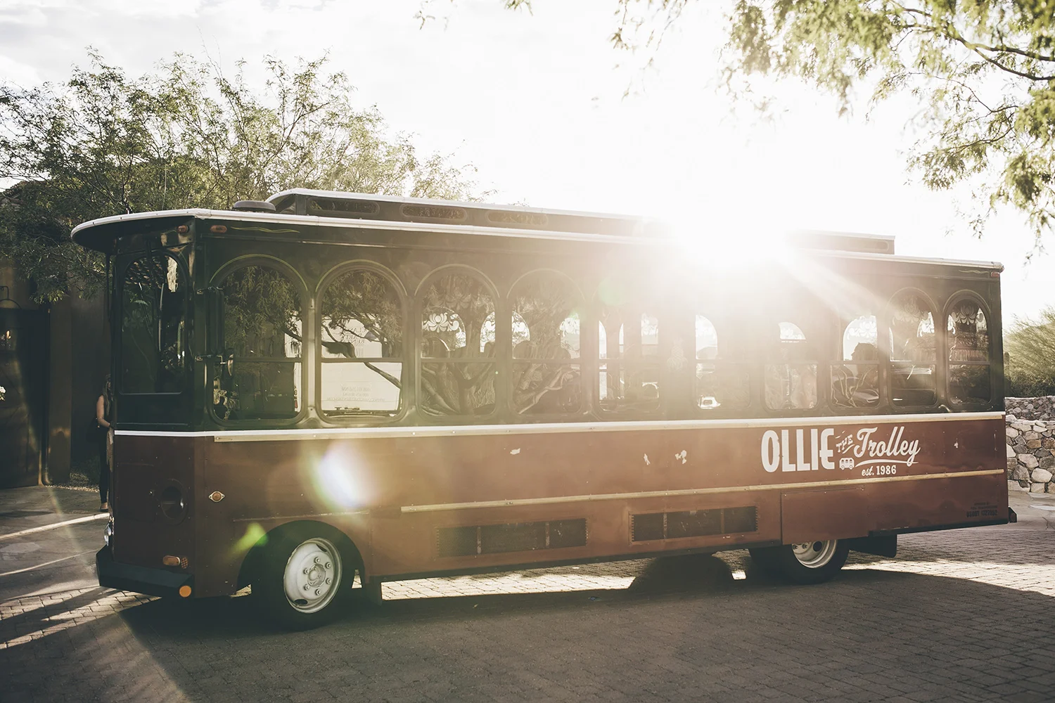 Brandon_Werth_Desert_Mountain_Arizona_Wedding_Photographer_59.jpg