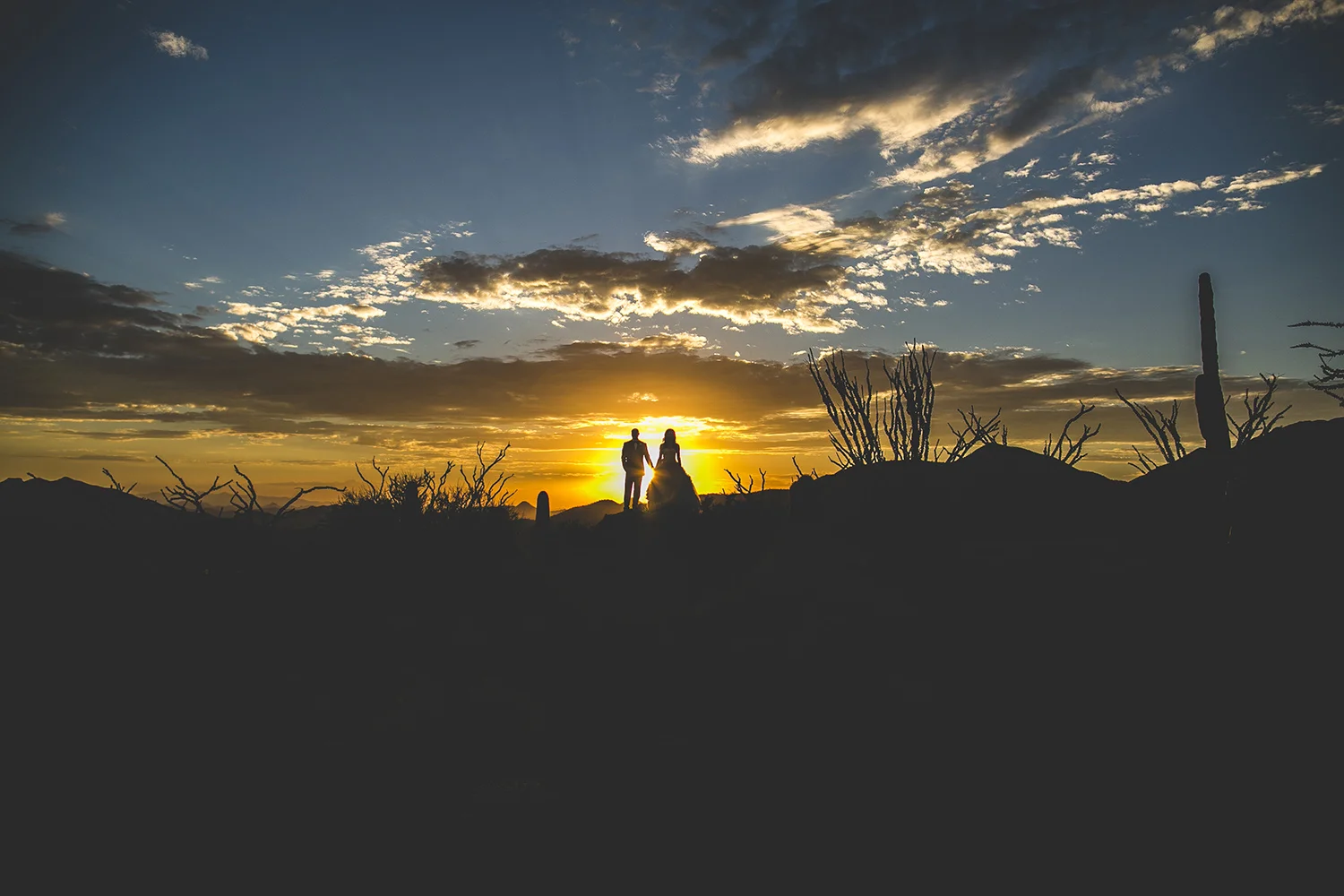 Brandon_Werth_Desert_Mountain_Arizona_Wedding_Photographer_66.jpg
